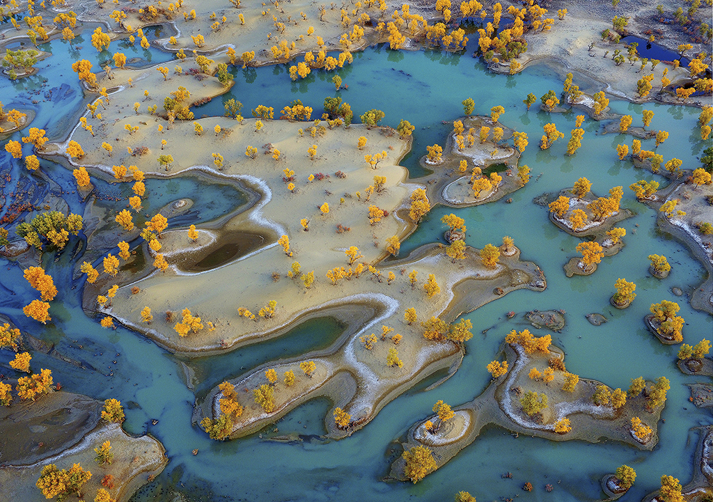 ����Ӱ�Ї����zӰ��ِ